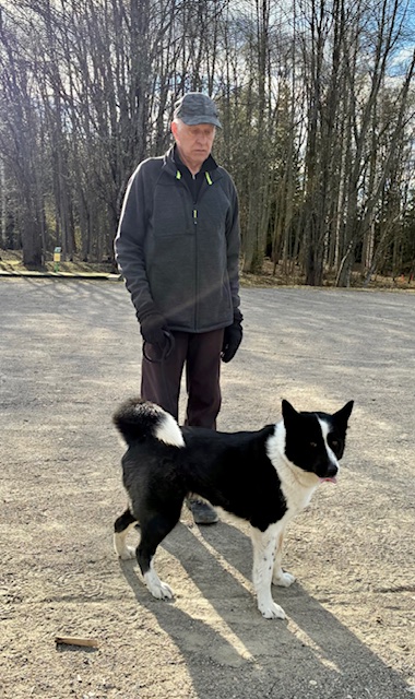 Karjalankarhukoira esittelyssä. Rotu täyttää tänä vuonna kunniakkaat 90 vuotta. Kuva: Eija Airaksinen