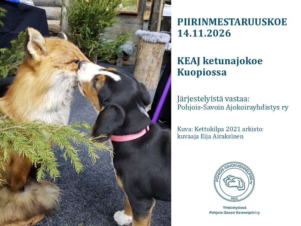 KEAJ PM-koe