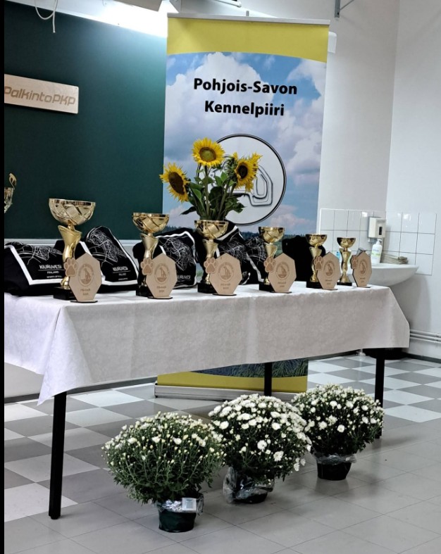 meja pm2026 palkintopoyta
