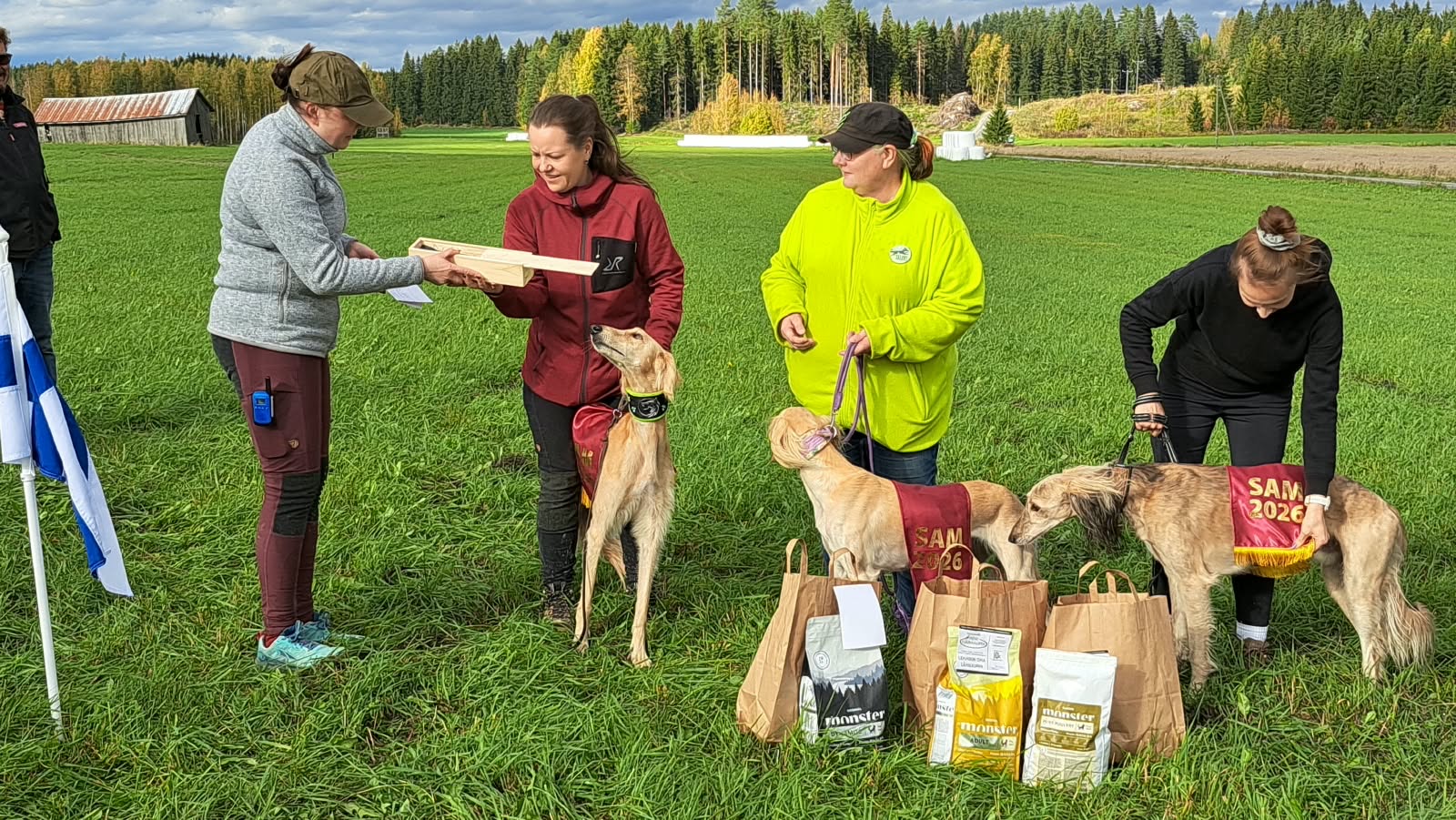 smvinttikoirat piirintuomisenluovutus